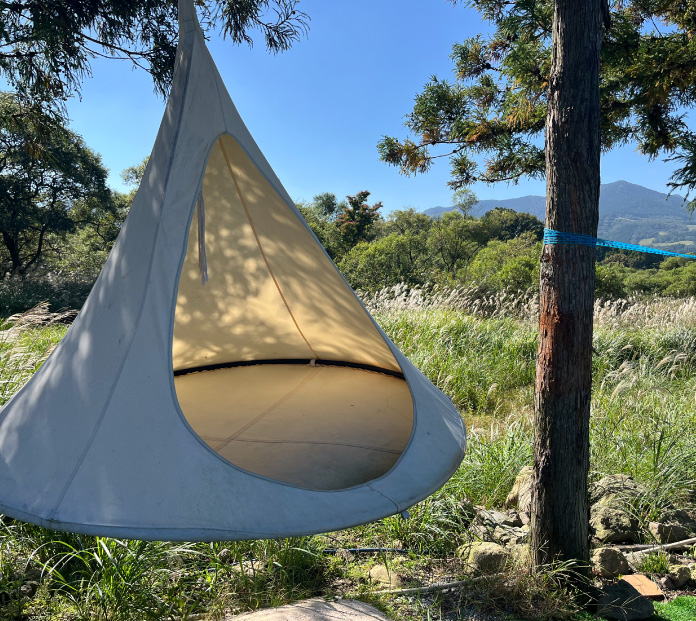 アクティビティ